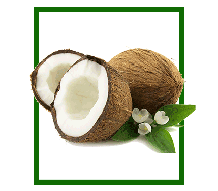 coconut-about.png
